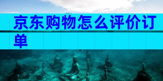 京东购物怎么评价订单