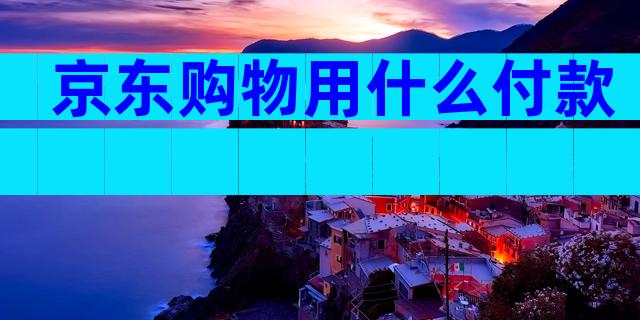 京东购物用什么付款