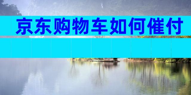 京东购物车如何催付