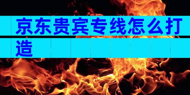 京东贵宾专线怎么打造