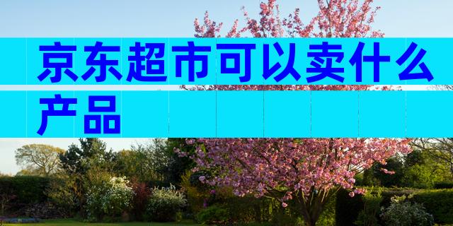 京东超市可以卖什么产品