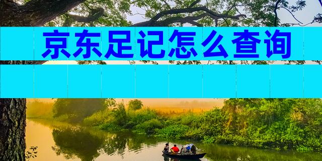 京东足记怎么查询
