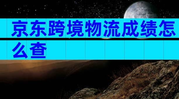 京东跨境物流成绩怎么查