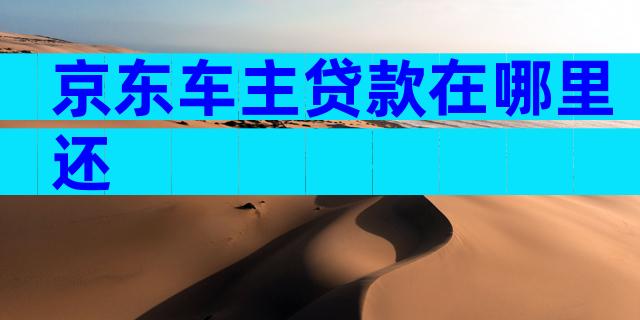 京东车主贷款在哪里还