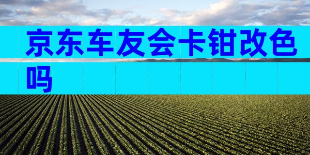 京东车友会卡钳改色吗