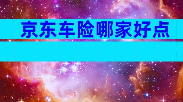 京东车险哪家好点