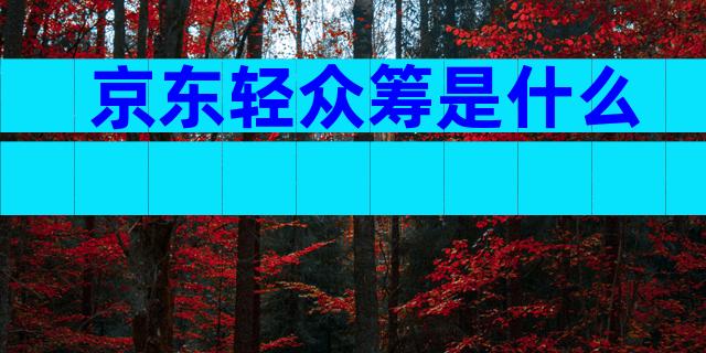 京东轻众筹是什么