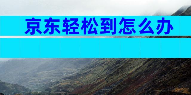 京东轻松到怎么办