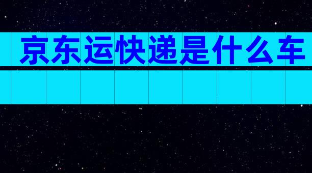 京东运快递是什么车