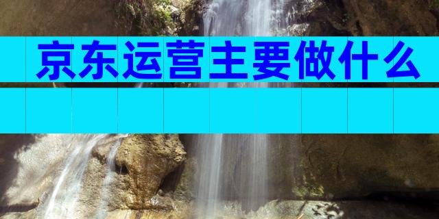 京东运营主要做什么