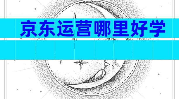 京东运营哪里好学