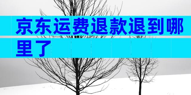京东运费退款退到哪里了