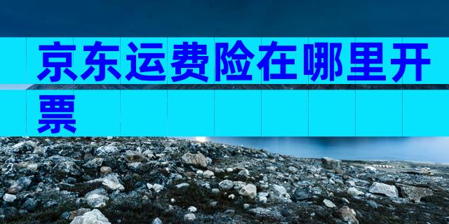 京东运费险在哪里开票