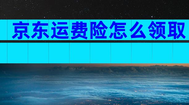 京东运费险怎么领取