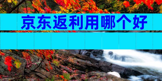 京东返利用哪个好