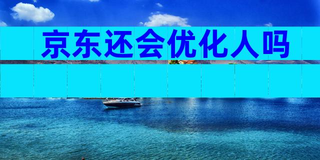 京东还会优化人吗
