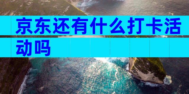 京东还有什么打卡活动吗