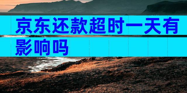 京东还款超时一天有影响吗