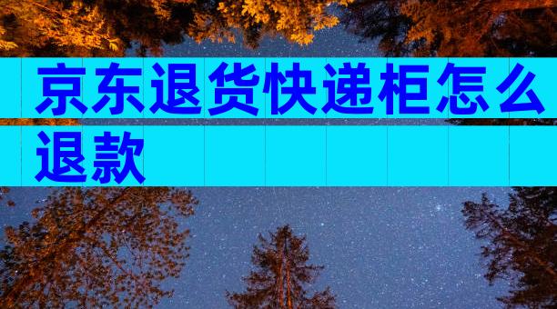 京东退货快递柜怎么退款
