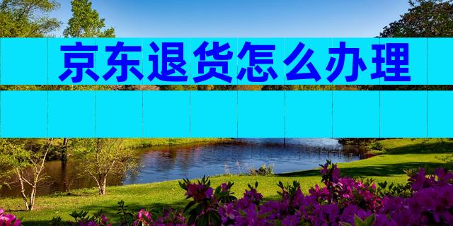 京东退货怎么办理