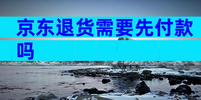 京东退货需要先付款吗