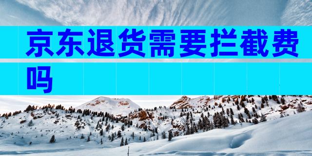 京东退货需要拦截费吗
