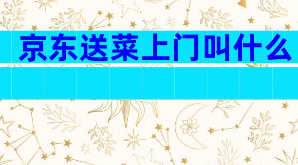 京东送菜上门叫什么