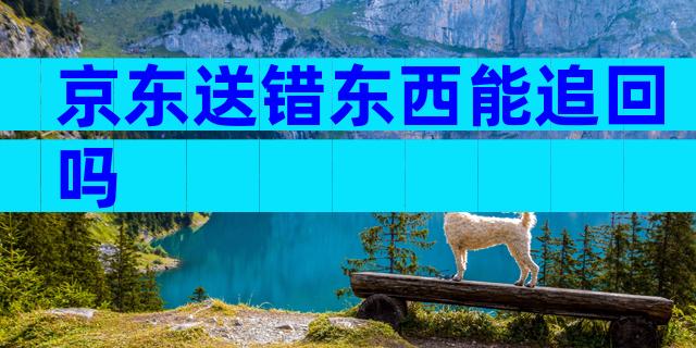 京东送错东西能追回吗