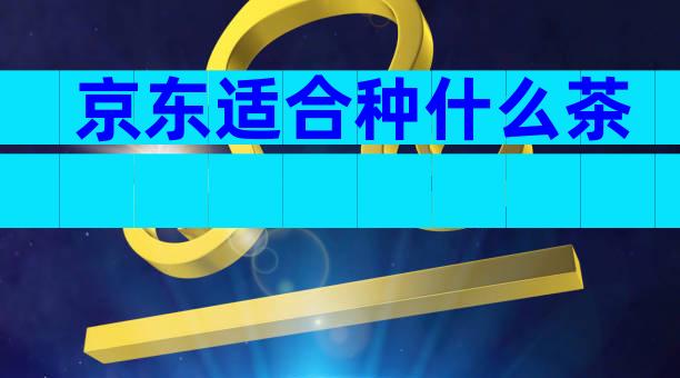 京东适合种什么茶