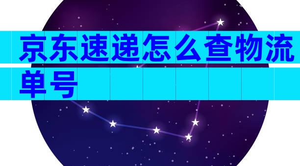 京东速递怎么查物流单号