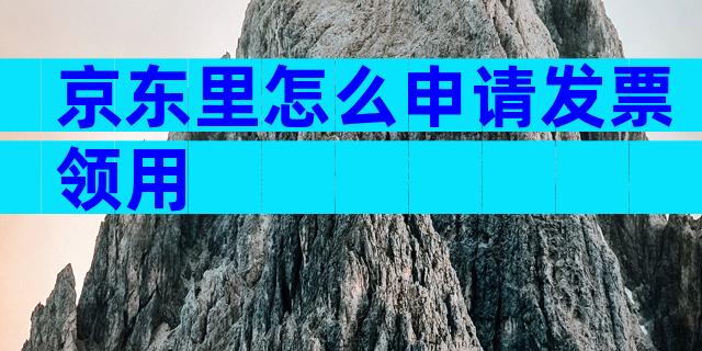京东里怎么申请发票领用