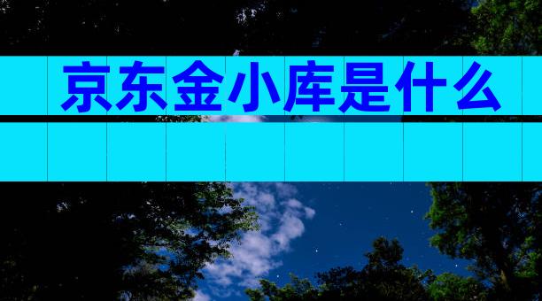 京东金小库是什么