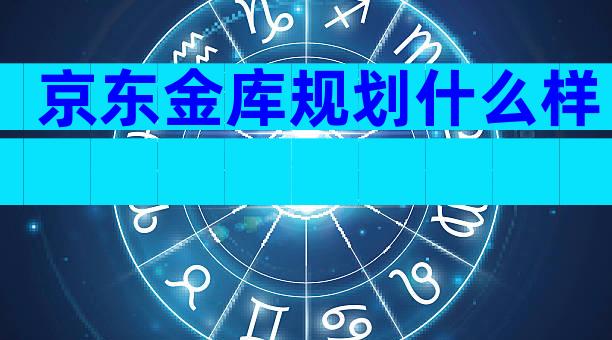 京东金库规划什么样