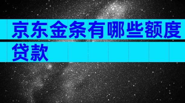 京东金条有哪些额度贷款
