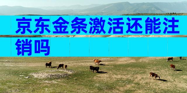 京东金条激活还能注销吗