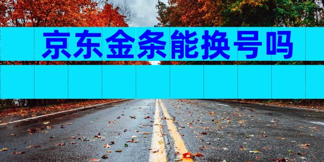 京东金条能换号吗