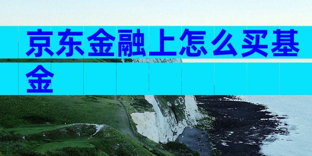 京东金融上怎么买基金