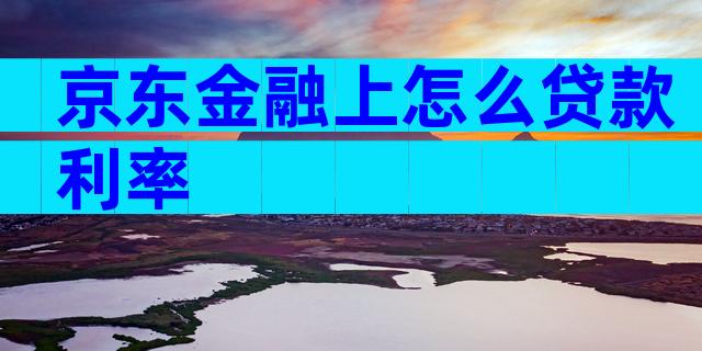 京东金融上怎么贷款利率