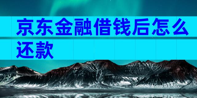 京东金融借钱后怎么还款