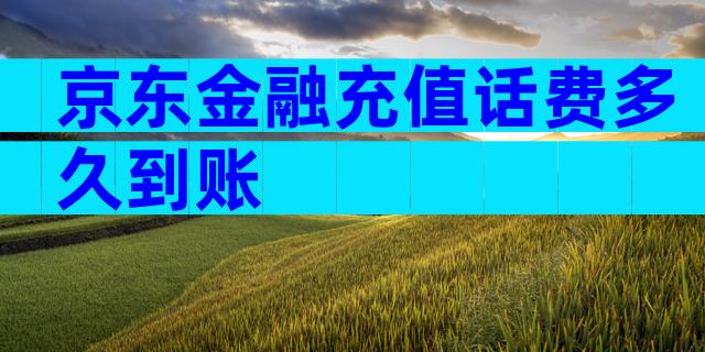 京东金融充值话费多久到账