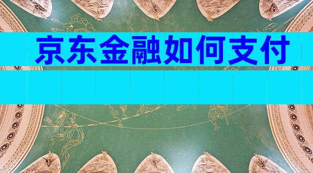 京东金融如何支付