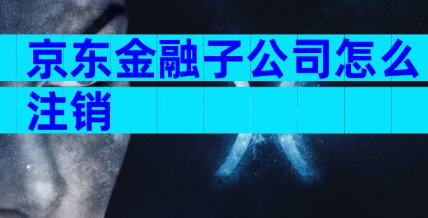 京东金融子公司怎么注销