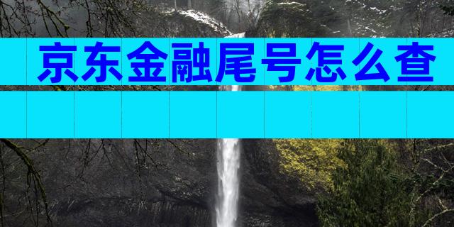 京东金融尾号怎么查