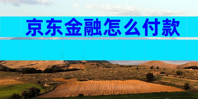 京东金融怎么付款