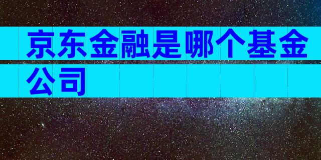 京东金融是哪个基金公司