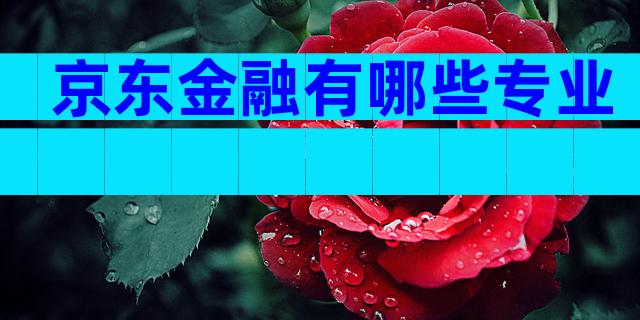京东金融有哪些专业