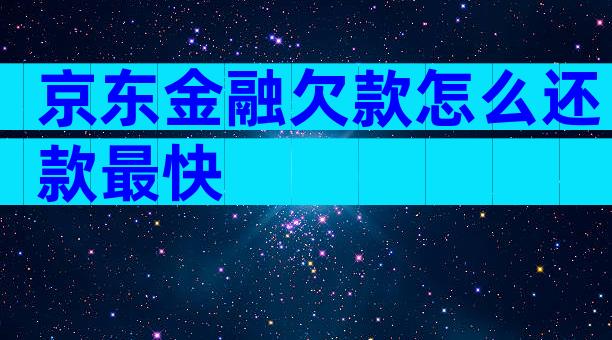 京东金融欠款怎么还款最快