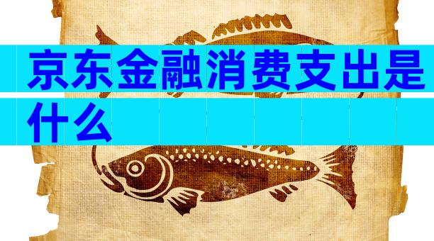 京东金融消费支出是什么