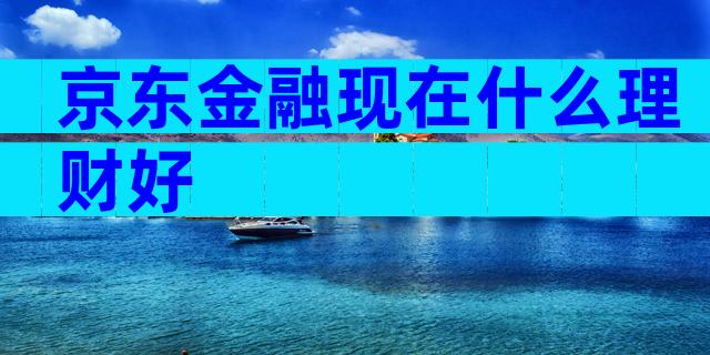 京东金融现在什么理财好