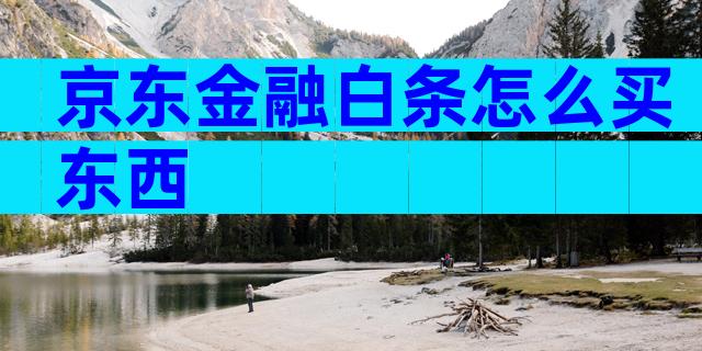 京东金融白条怎么买东西